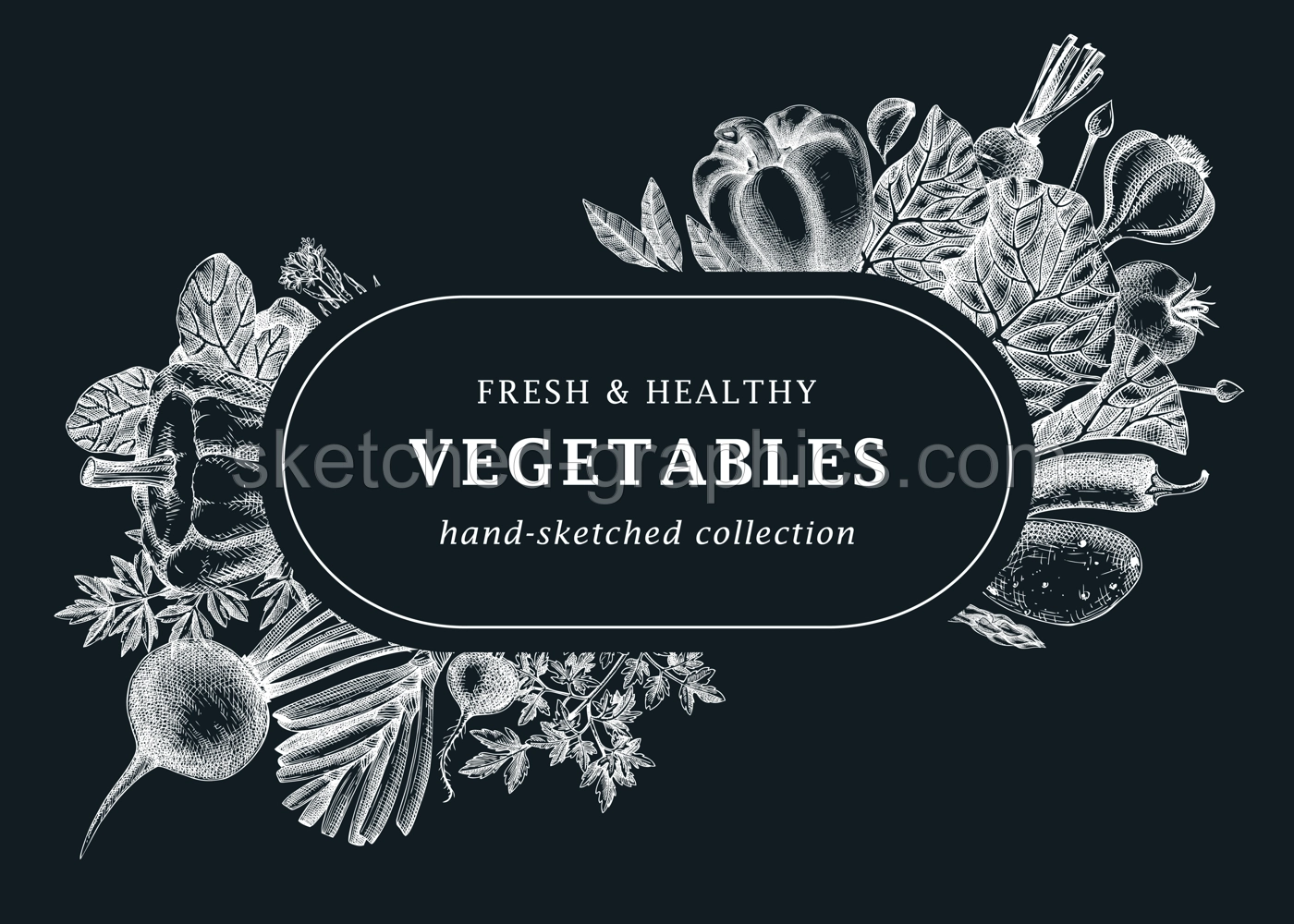 Hand-sketched vegetables design. Hand-drawn tomatoes, squashes, peppers, potatoes, asparagus and other vegetables. Healthy food banner for menu, restaurant, packaging, labels. Botanical illustration  Illustration